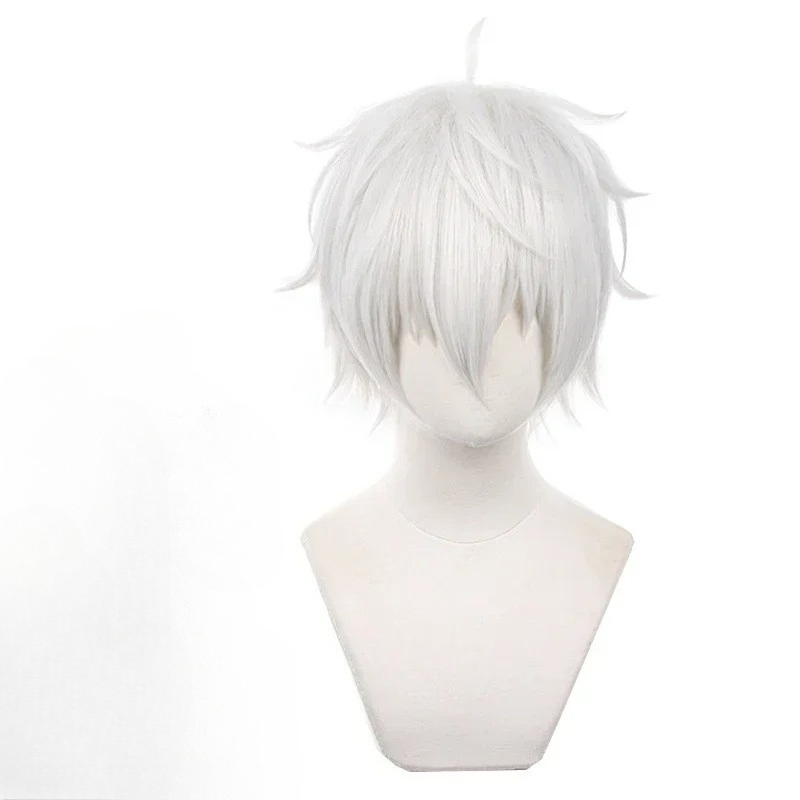 애니메이션 세이시로 나기 코스프레 가발 실버 화이트 3 - Cosplay Anime White Hair 리뷰 및 가격